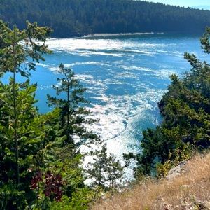 Meet your Posher, SS